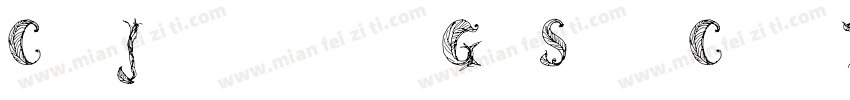 Cf JeckylGrSemConThin Bold字体转换